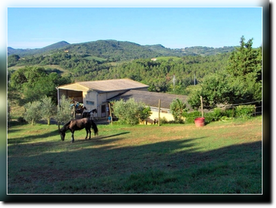 vista su fienile e stalla